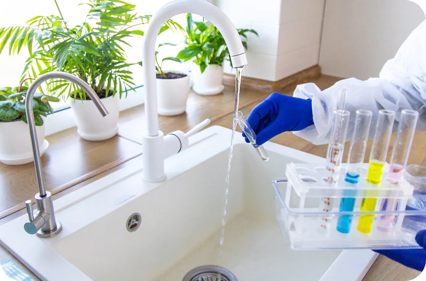 Tap water samples collected in test tubes for laboratory analysis