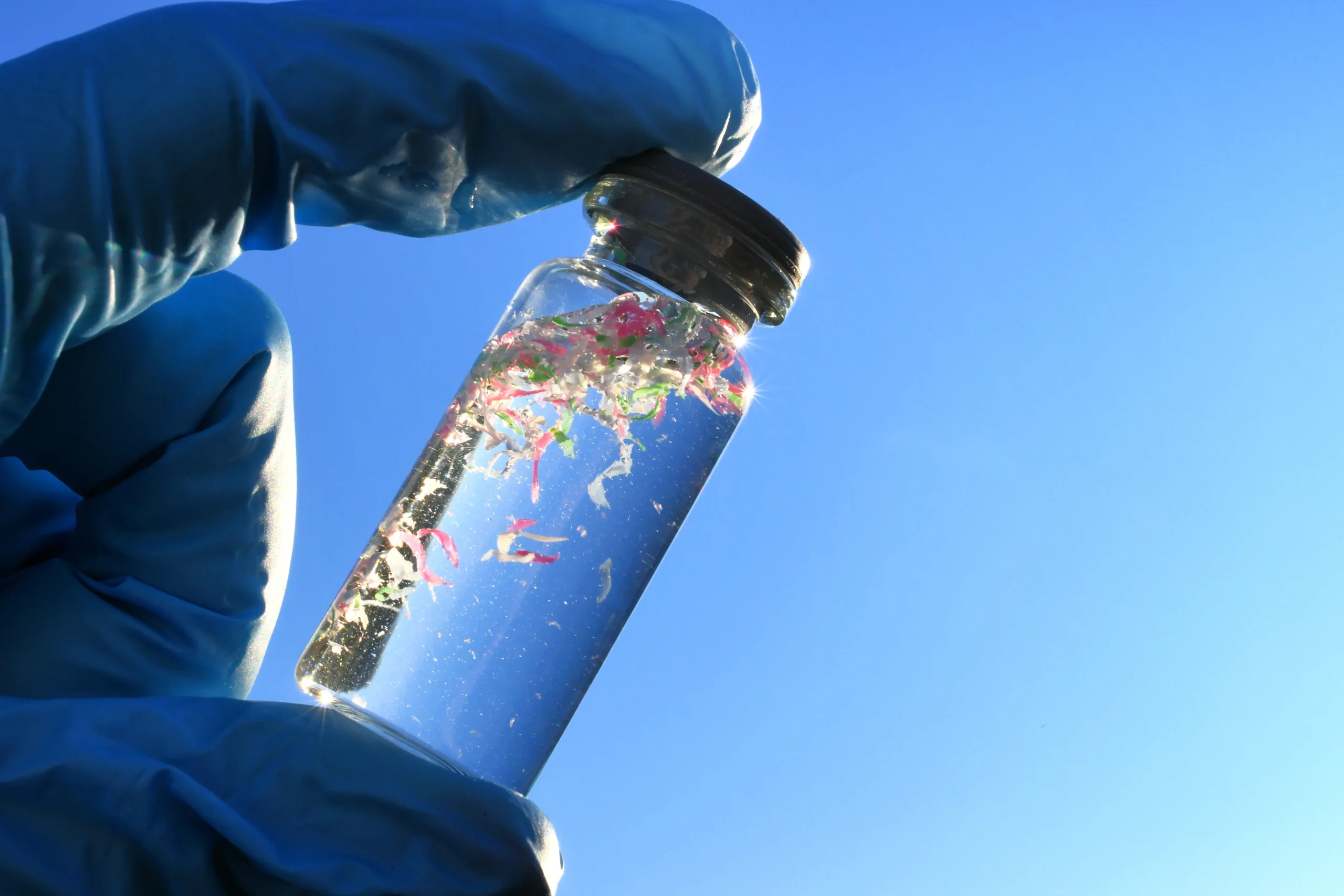 Water sample vial showing visible contaminants held up for inspection